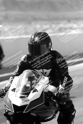media/Mar-08-2025-TrackXperience (Sat) [[277b597a28]]/1-Around the Pits - Pre Grid/